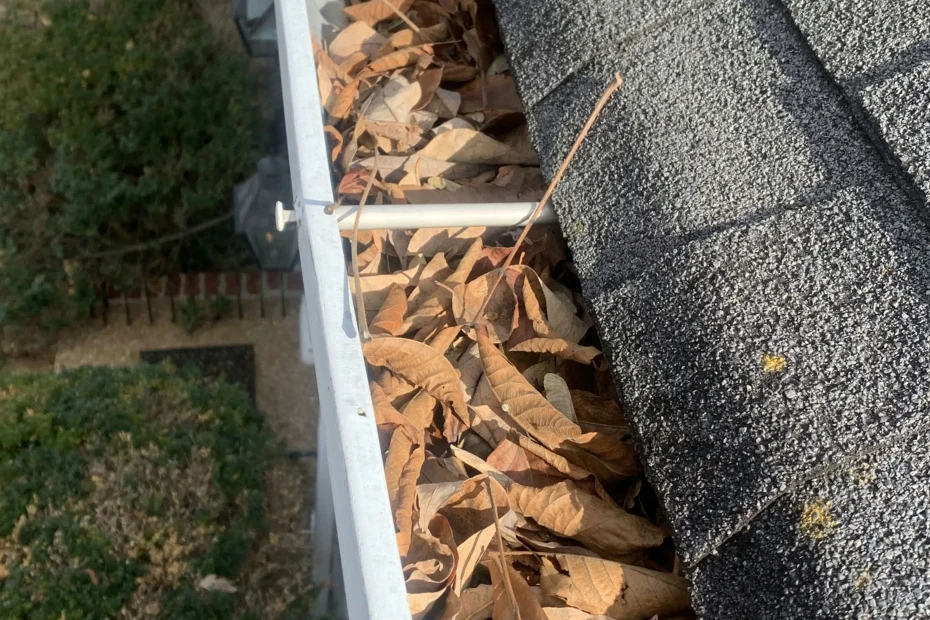 Gutter Cleaning Versailles