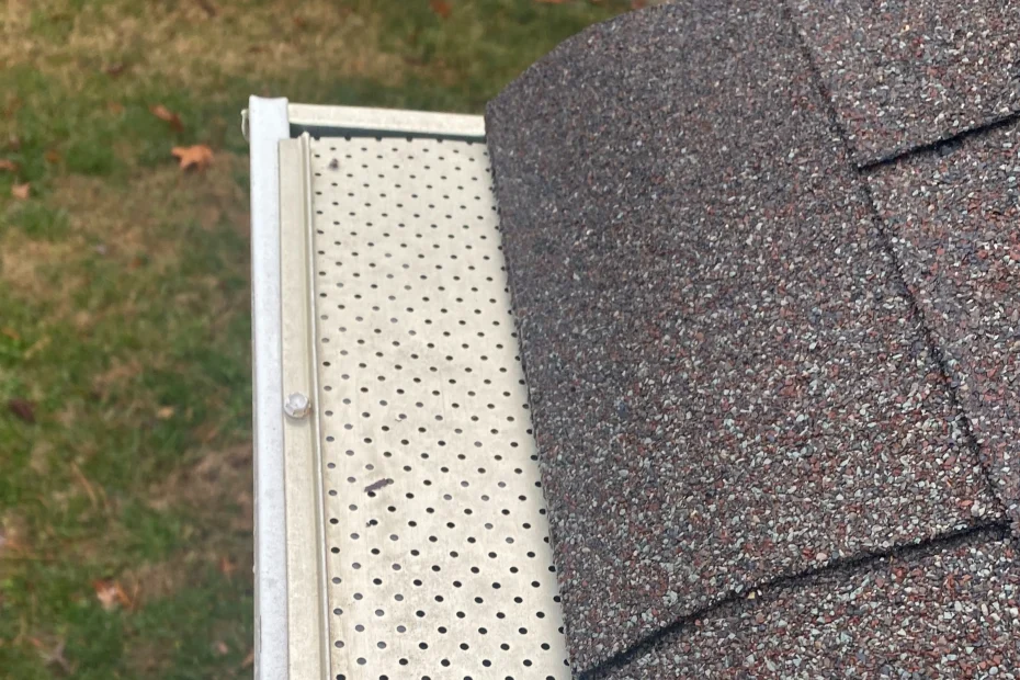 Gutter Cleaning Versailles