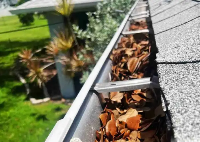 Gutter Cleaning Versailles home page